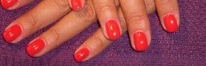 Gel di Copertura Colorato